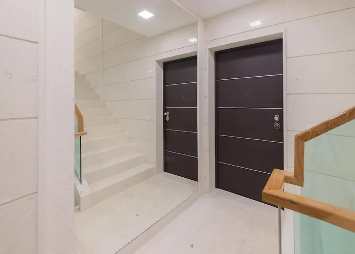 Ventus White * זאדאר